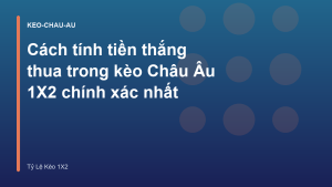 Read more about the article Cách tính tiền thắng thua trong kèo Châu Âu 1X2 chính xác nhất